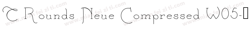 T Rounds Neue Compressed W05字体转换